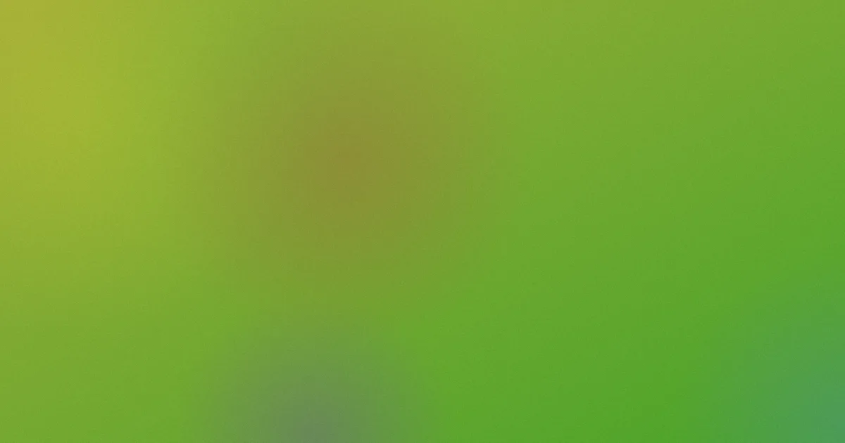 十五的月亮简谱值得吗